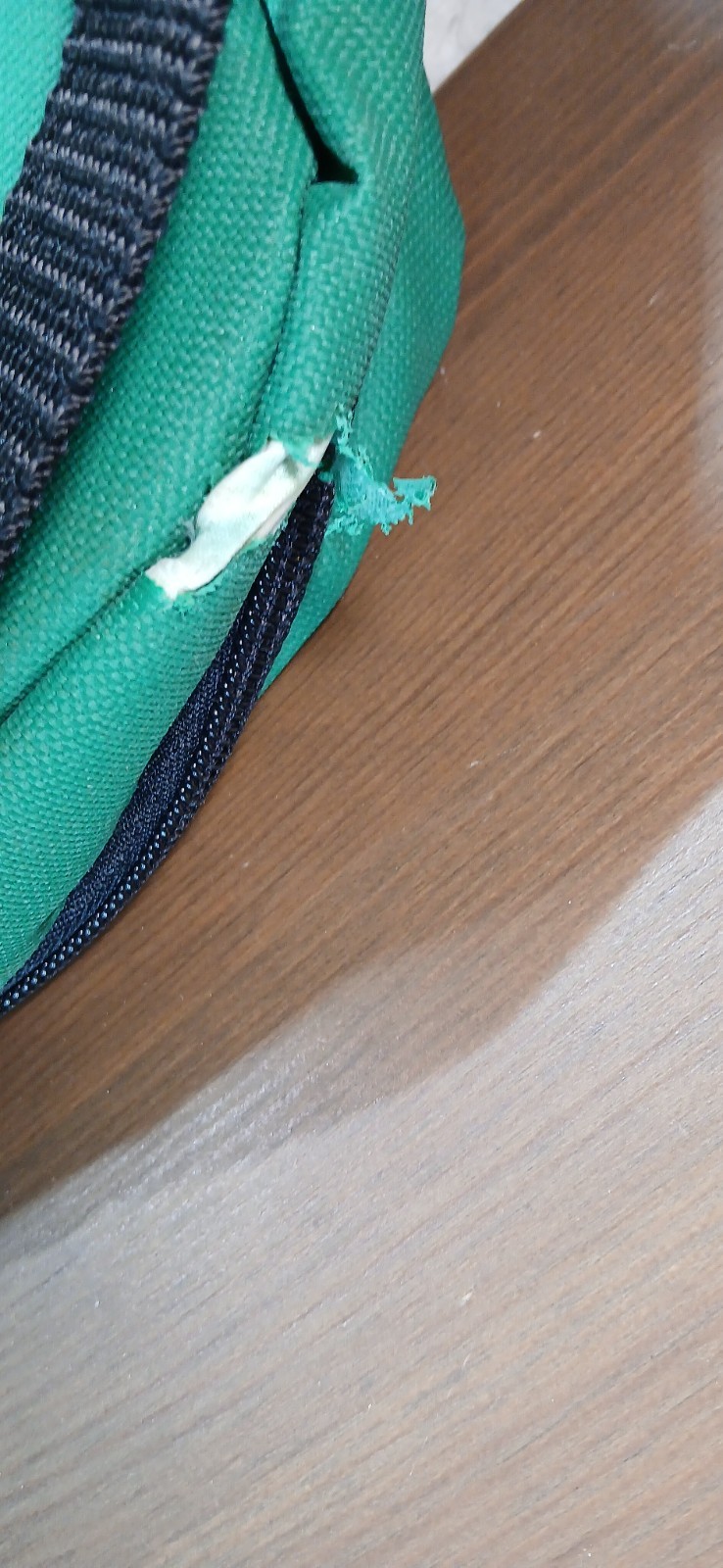 2 – Carry-Outs – How Food Gets Carried Away – Green Insulated Bags