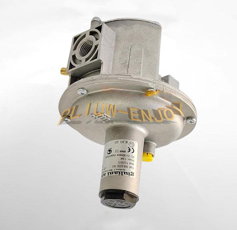 1PC New Giuliani Anello Pressure Regulating Valve FG1B15