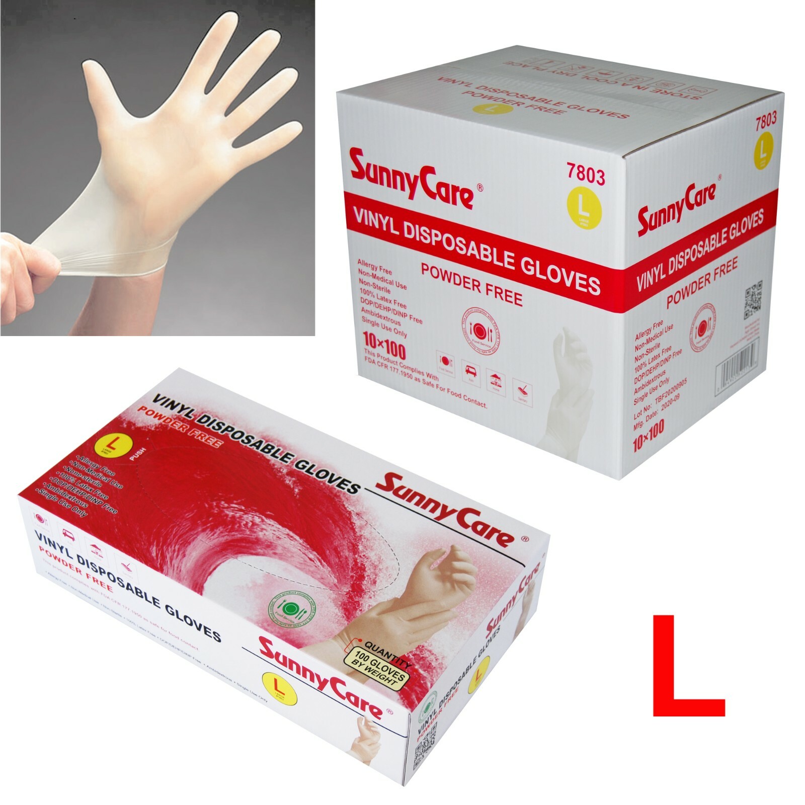 1000pcs Vinyl Gloves Powder Free (Latex Nitrile Free)?[DISCOUNTS] ? Large