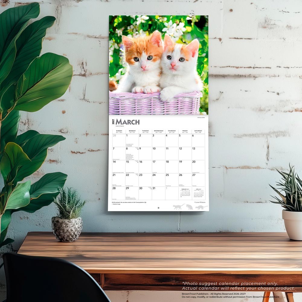 I Love Kittens | 2027 12×24″ (Hanging) Square Wall Calendar | Plastic-Free