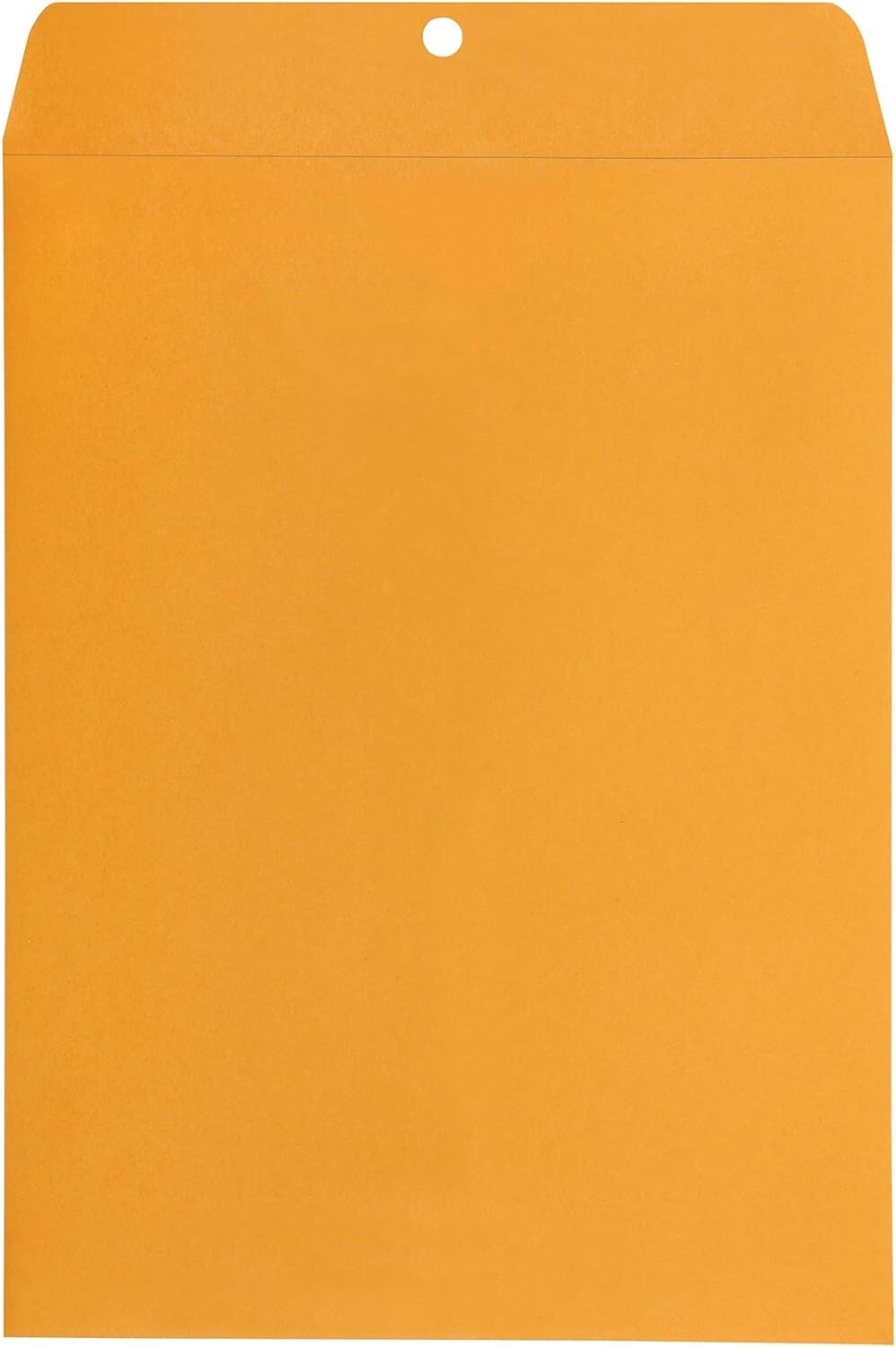 9 x 12-Inch Kraft Envelopes with Gummed Closure – 100-Pack, Perfect for Mailing