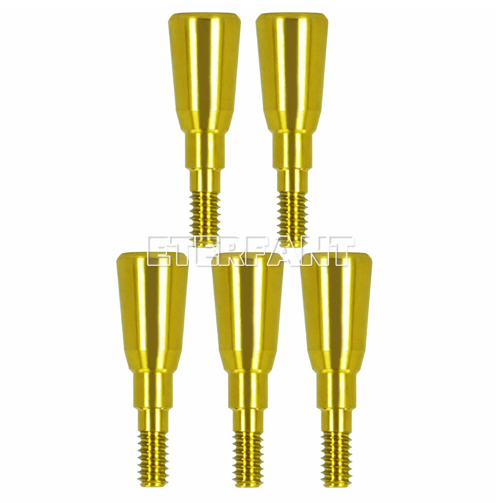 Dental Healing Cap Abutments NC/RC Cover Screw Titanium Fit Straumann ITI BLT