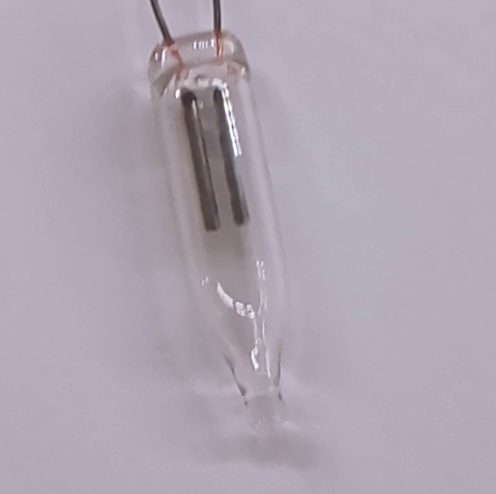 Box Of 10 CEC A1A NE2 Neon Glow Lamps Miniature Light Bulbs 105-125V Taiwan NOS