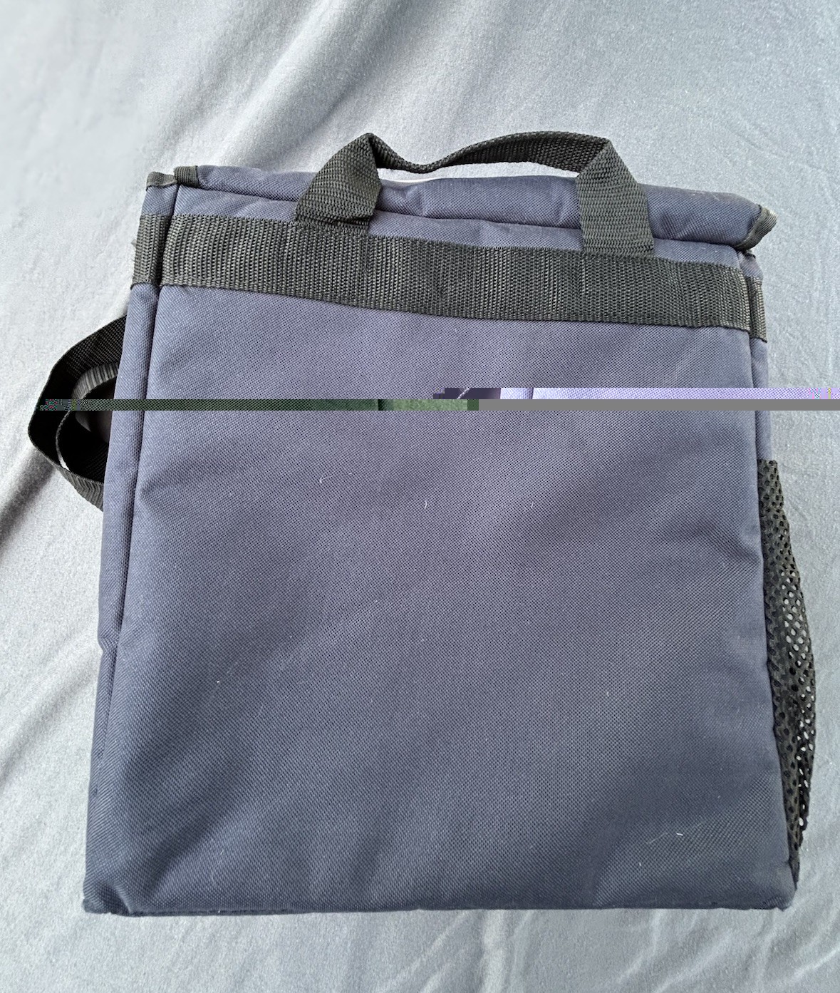 Domino’s Pizza Insulated Delivery Bag Blue Carry Tote Food Carrier Grub Hub Dash