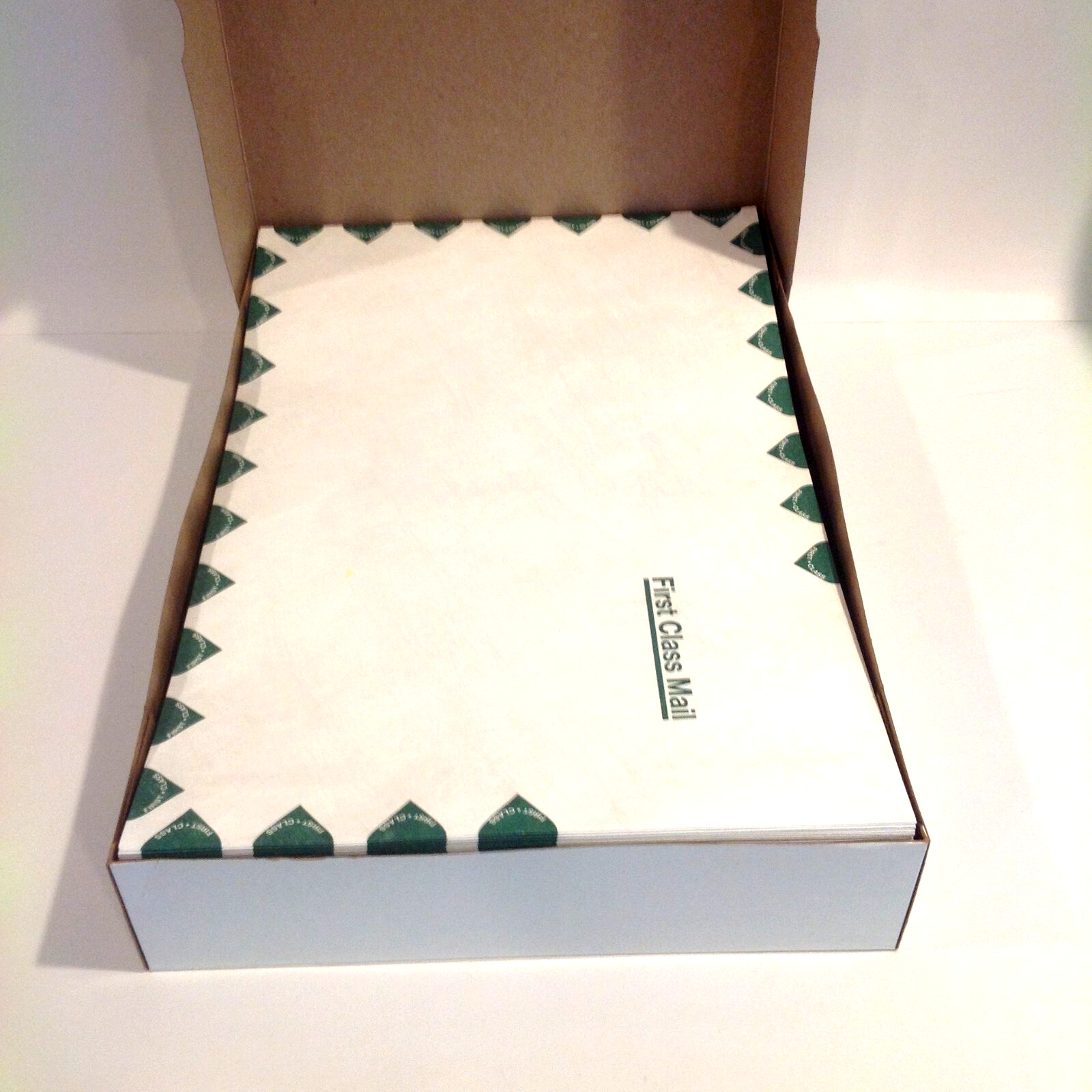 Box of 100 Survivor R1670 Tyvek USPS First Class Mailers 10″ x 15″ White NEW