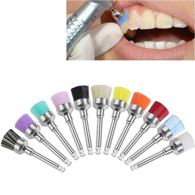 Dental Prophy Polishing Brush Nylon Latch Flat Prophylaxis Polisher Brushes