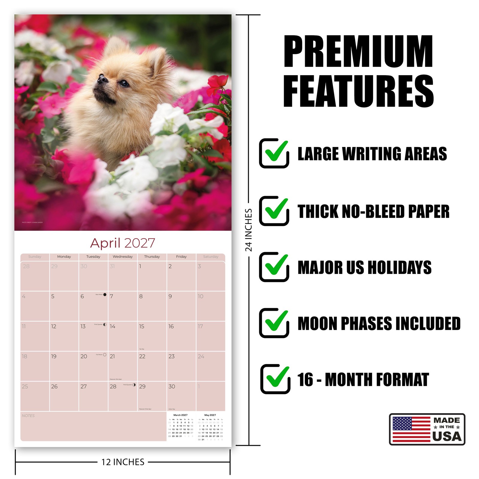 Pomeranian Dog Breed Calendar 2025 FULL SIZE 12×24 Made in USA