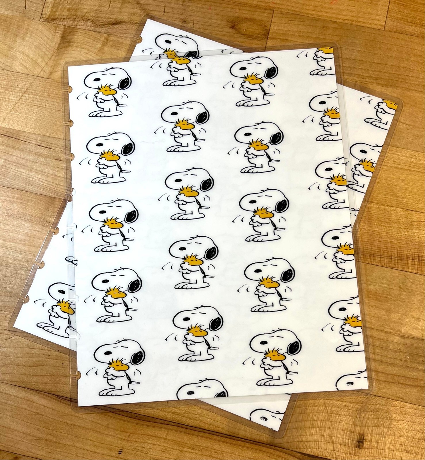 Snoopy & Woodstock Love Hug Cover Set 4 use with the Classic Happy Planner-