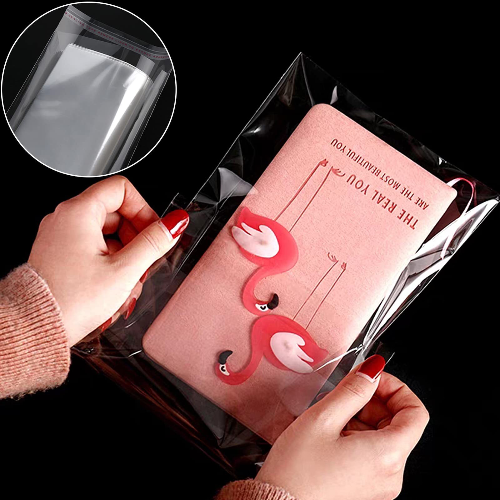 400Pcs Clear Plastic Self Sealing Bags with Hang Hole Resealable Large,
