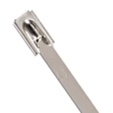 Ty-Rap Ls-7.9-200B Cable Tie, 8 In L, 2 In Max Bundle Dia., Silver, 316