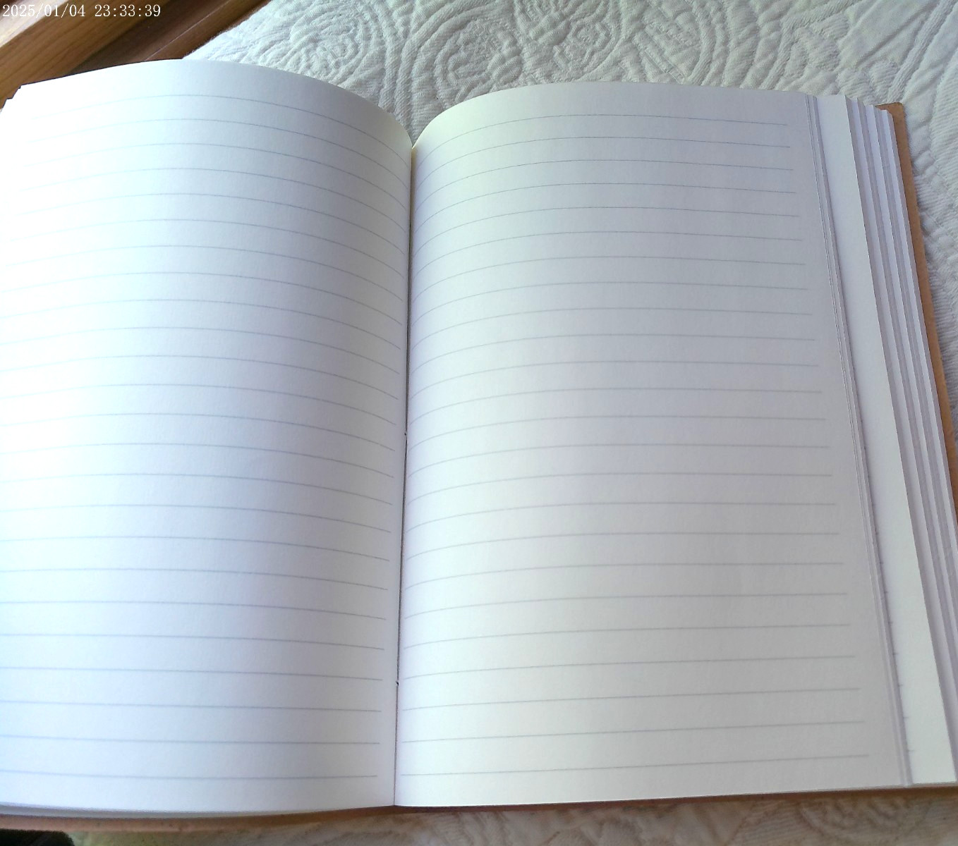 GENUINE LEATHER HANDMADE 144 LINED PAGES INDIA DRAGONFLIES YES TO NEW ADVENTURES