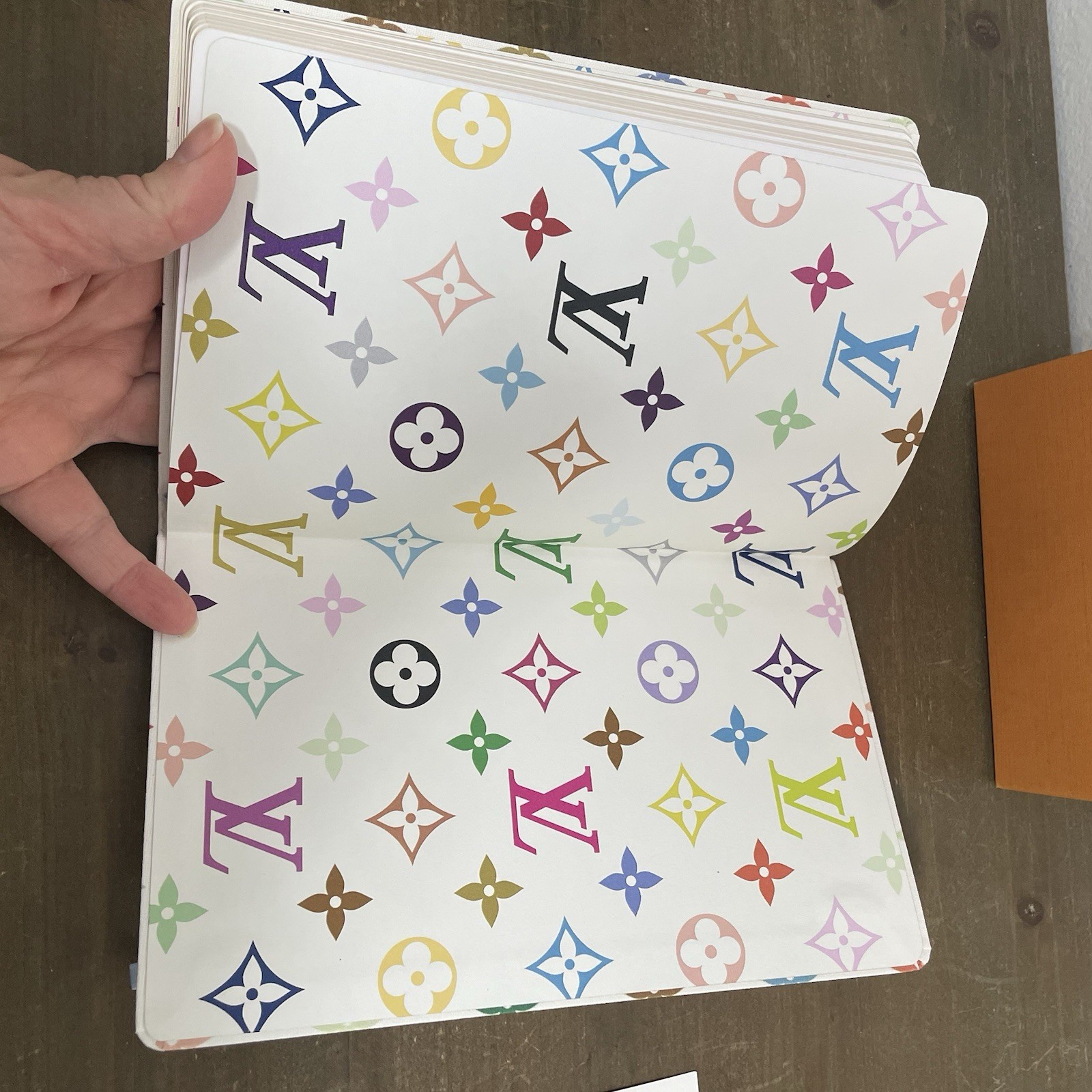 LV X TM Multicolor White Jane Notebook