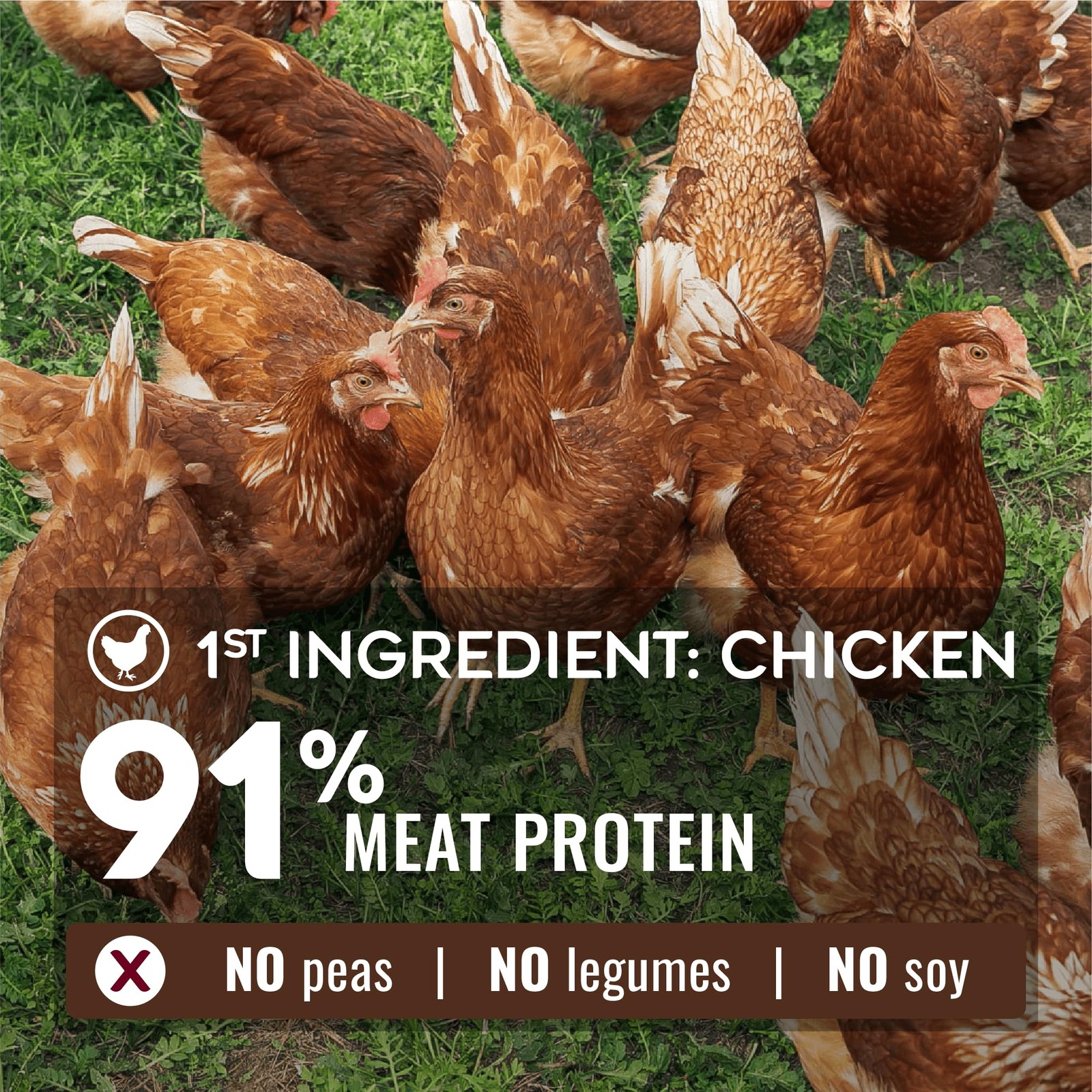Nature’S Logic Natures Logic Pure Naturals 100 Natural Chicken Recipe