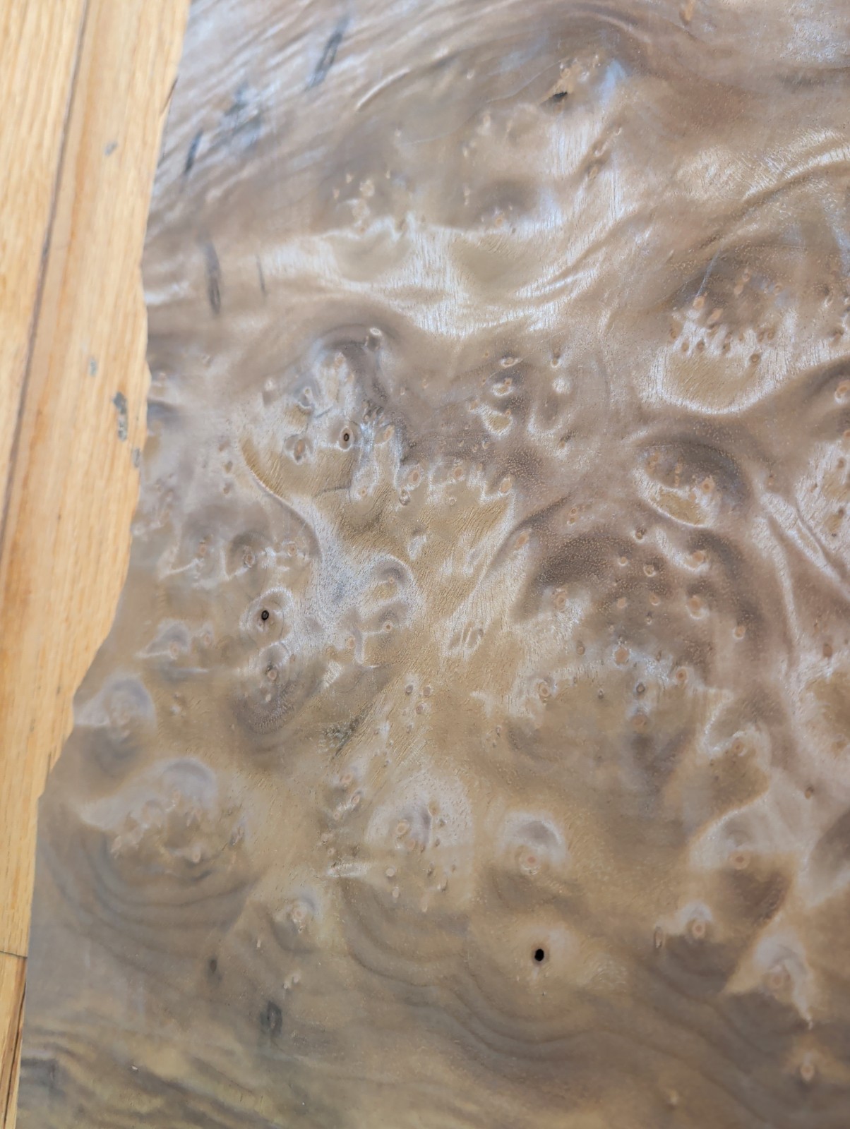 Myrtlewood burl veneer 1 piece 21″ x 15 1/4″ to 16″ & 1/42″ wood cracks 9″