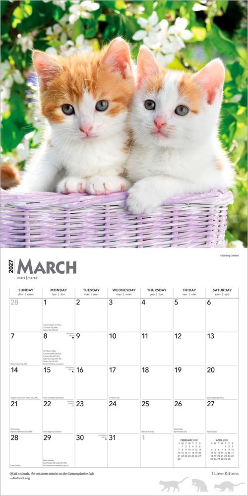 I Love Kittens | 2027 12×24″ (Hanging) Square Wall Calendar | Plastic-Free