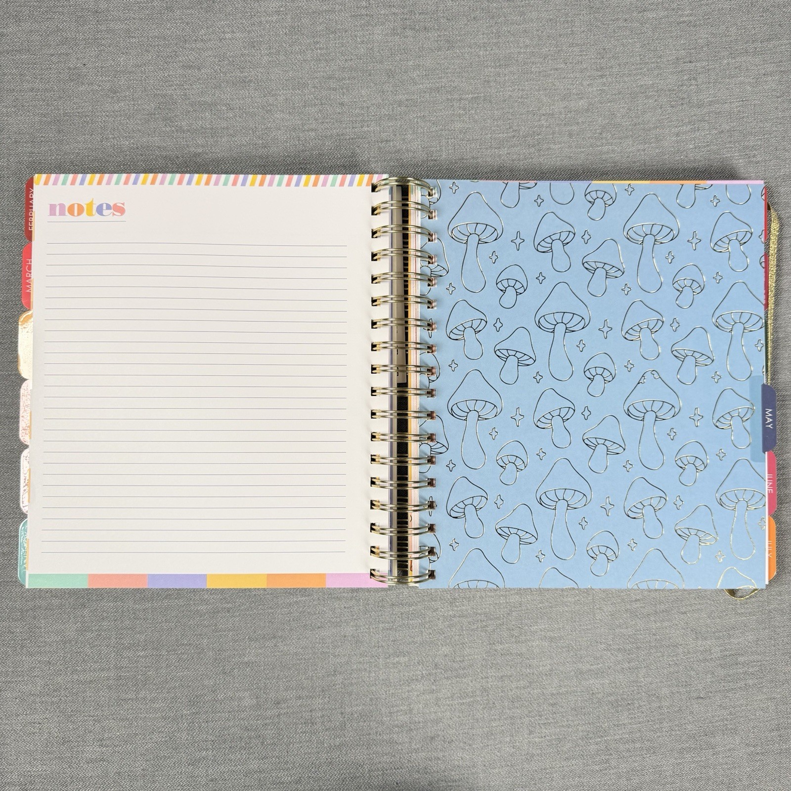 Creative Expert 17 Month Planner AUG 2026 – DEC 2027 Monthly/Weekly Planner
