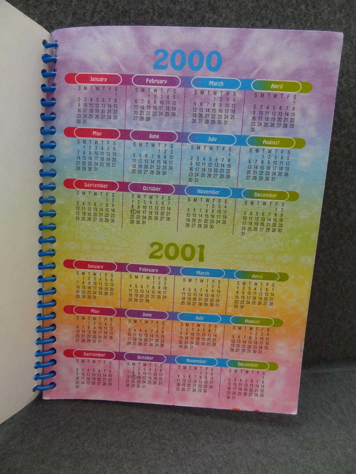 Lisa Frank 5×7 2000 Agenda Address Book Schedule Calendar Contact Spiral Cat Y2K