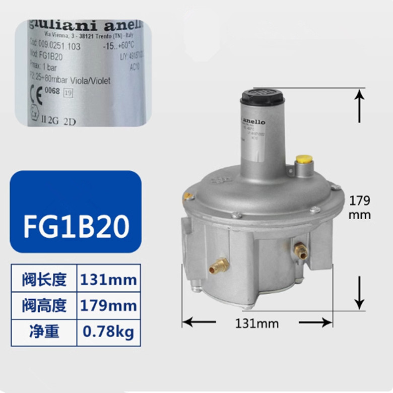 1PC NEW FIT FOR Giuliani anello FG1B20 DN20 gas pressure regulating valve