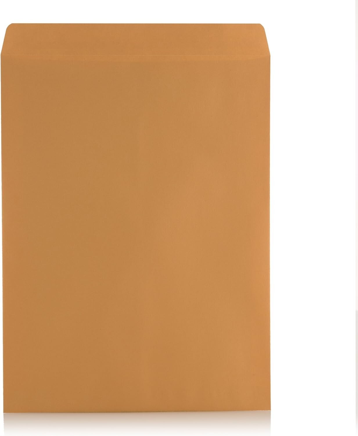 Durable 9×12 Self-Adhesive Kraft Envelopes for Business & Promotion – 100 Ct