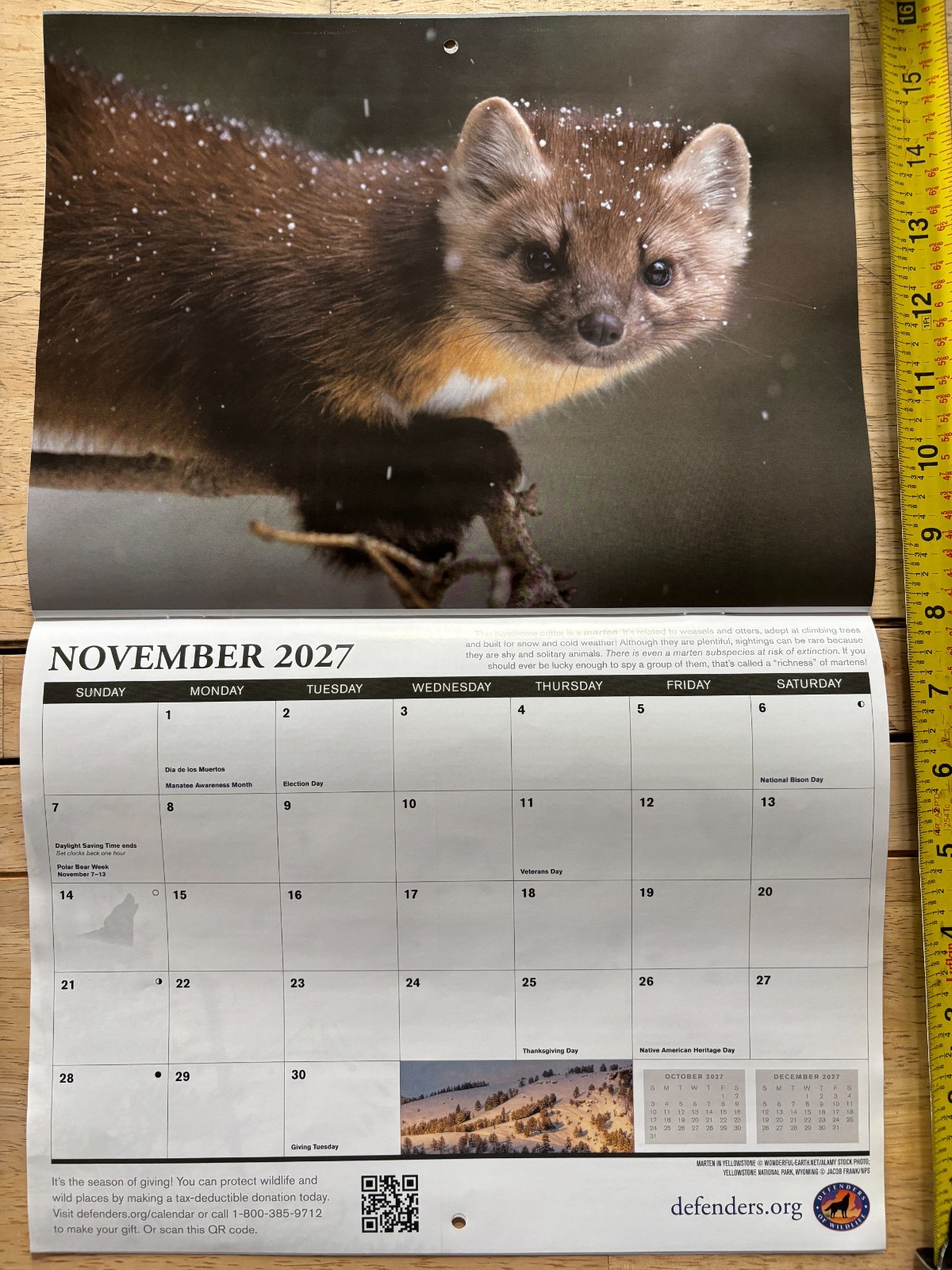 Defenders of Wildlife – 2027 – 18-Month WALL Calendar – Nature Photography!