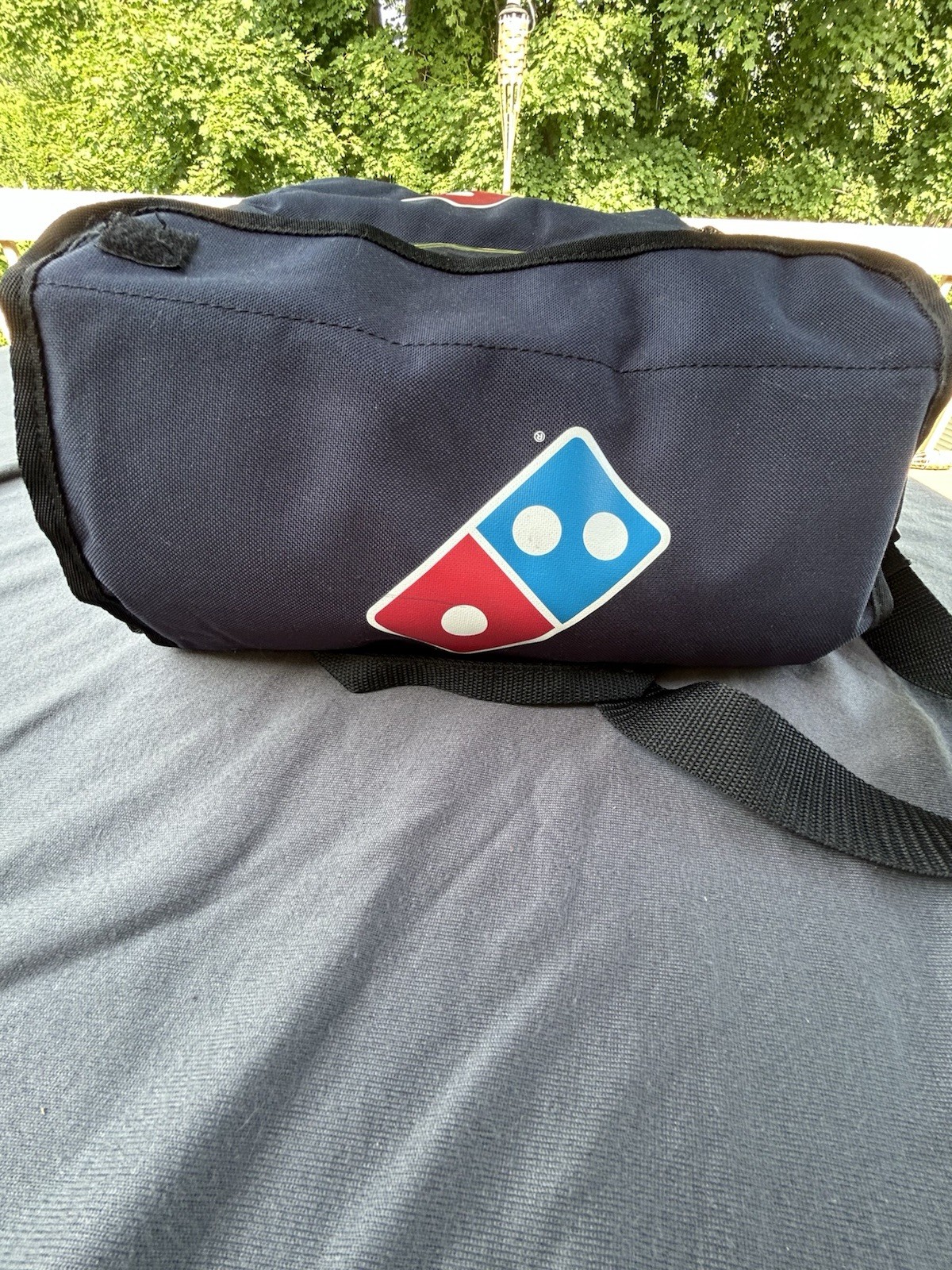 Domino’s Pizza Insulated Delivery Bag Blue Carry Tote Food Carrier Grub Hub Dash