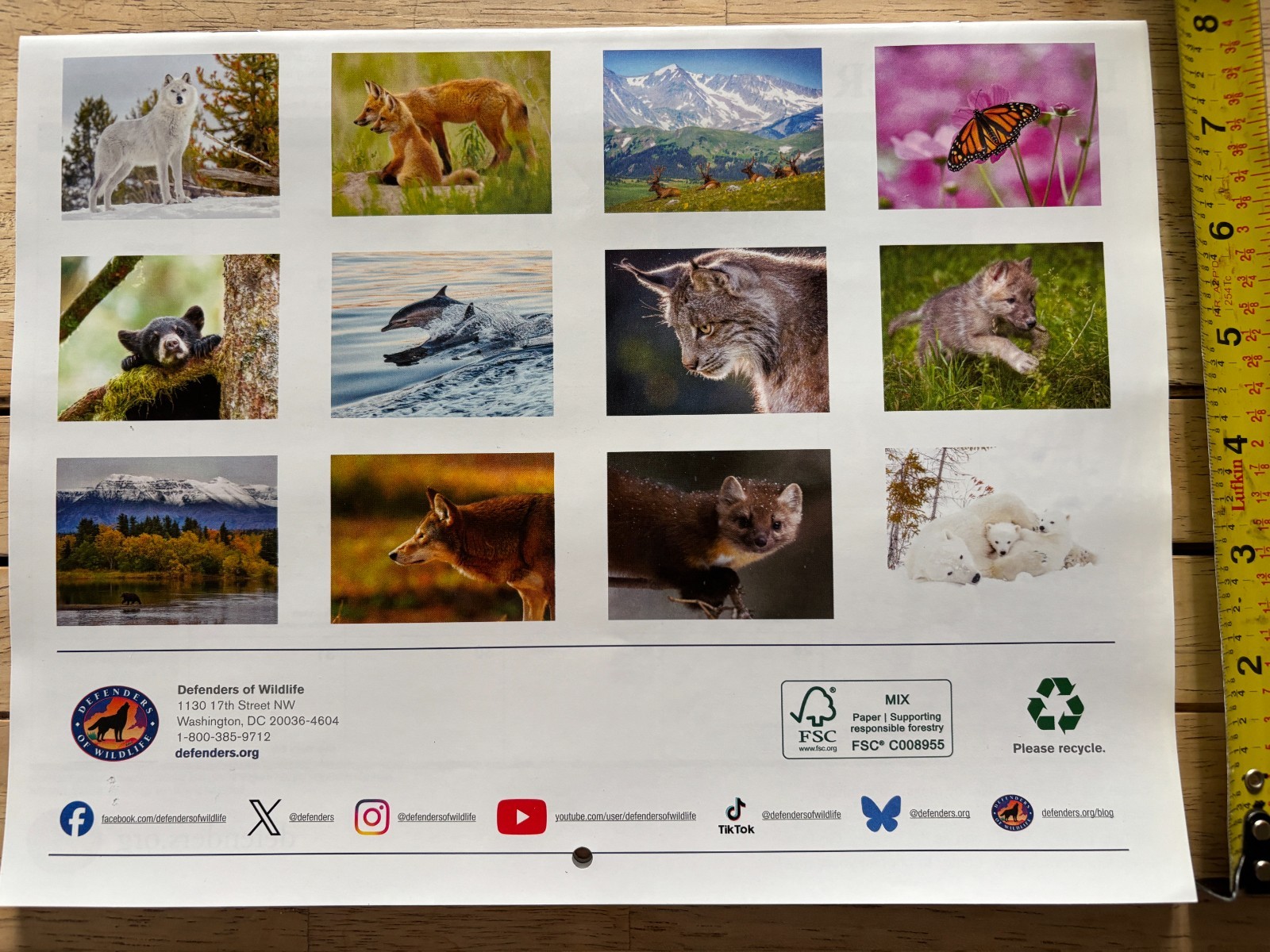 Defenders of Wildlife – 2027 – 18-Month WALL Calendar – Nature Photography!