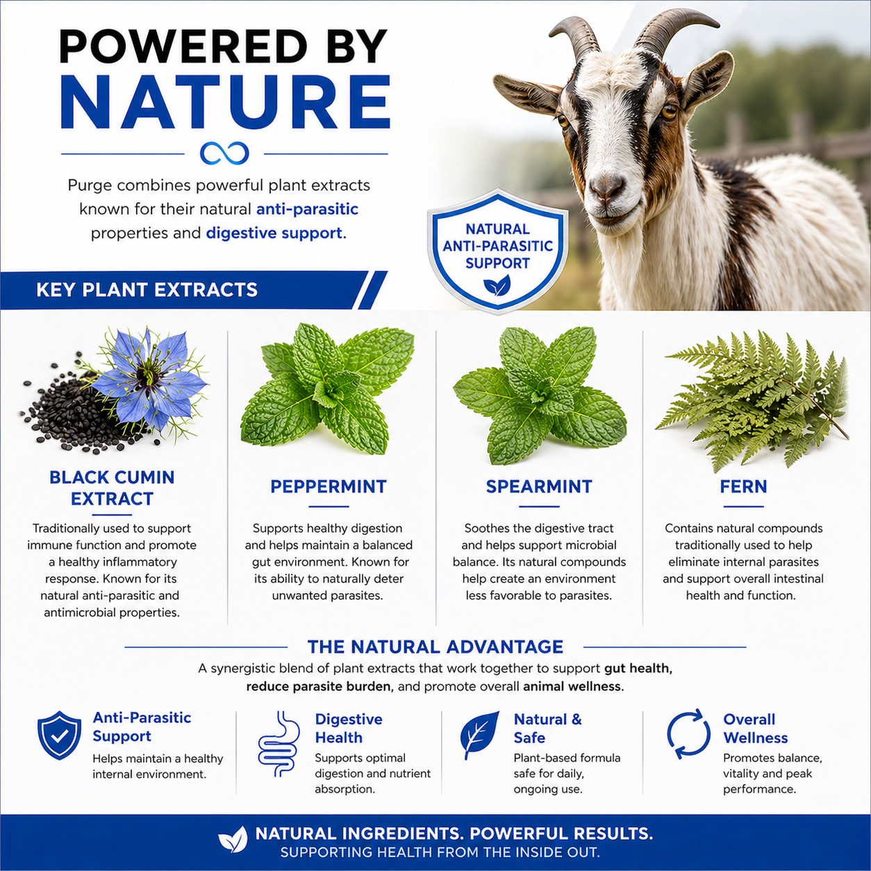 Purge – Natural wormer / coccidia tx for cattle, goats, sheep, pigs, cats & dogs