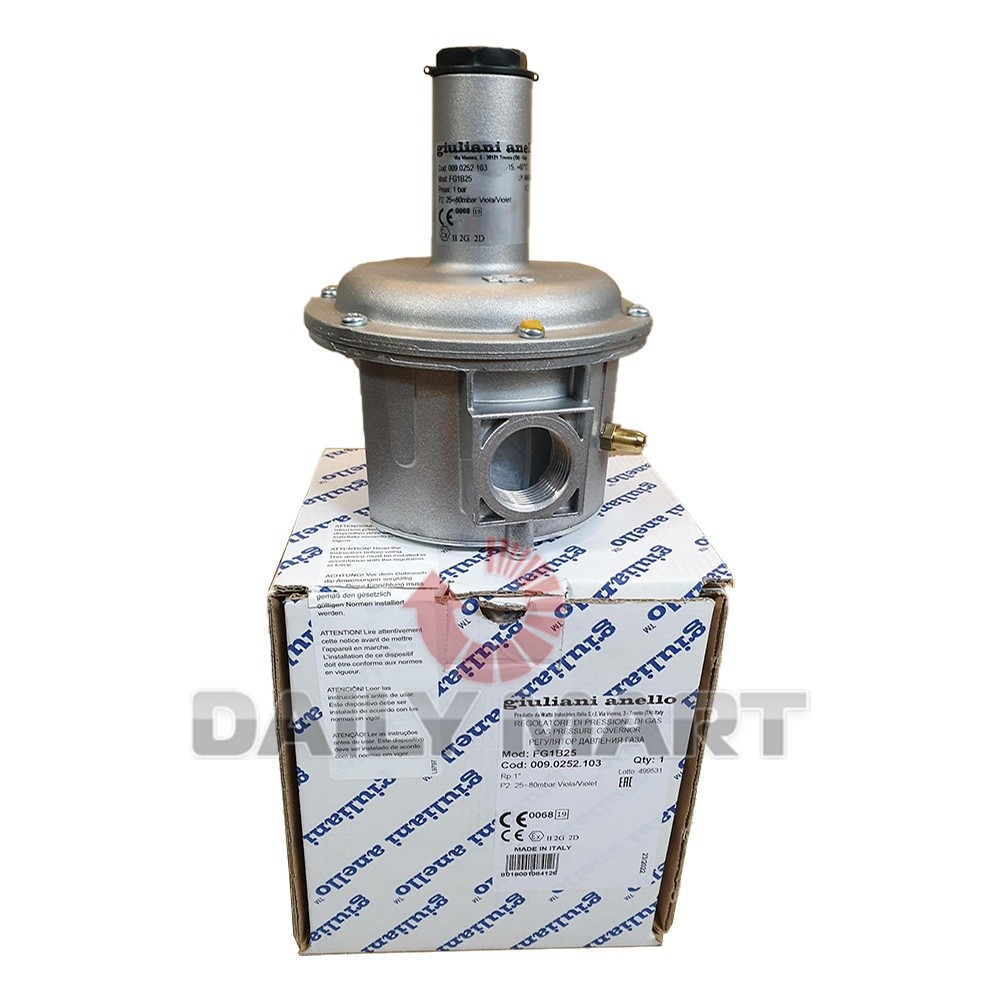 New In Box GIULIANI ANELLO FG1B25 Pressure Regulating Valve *yt