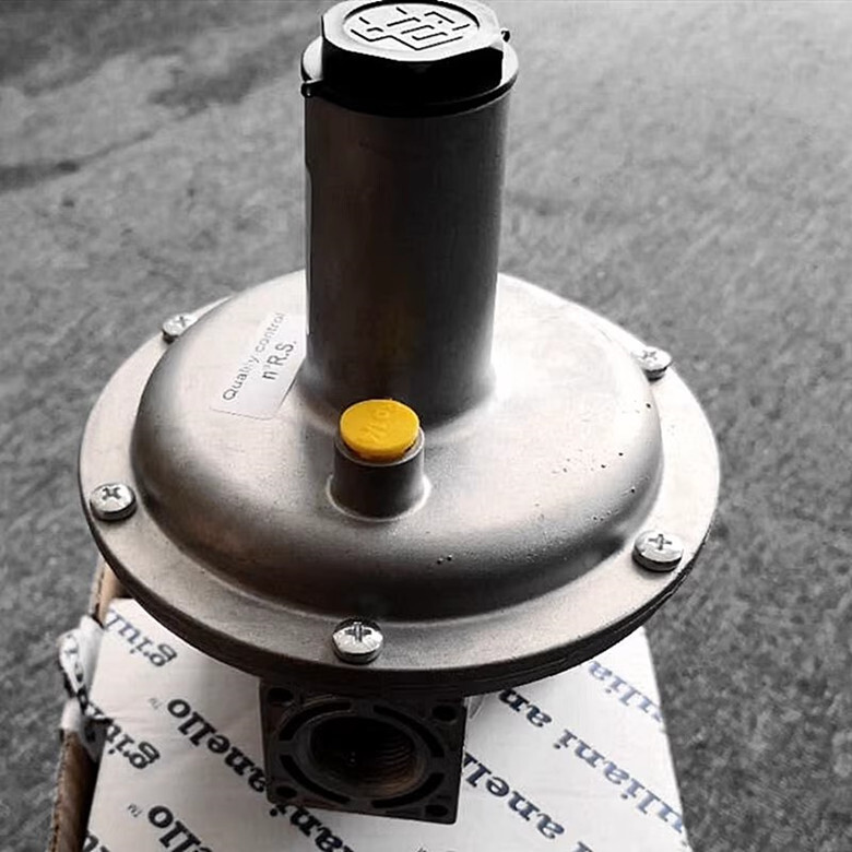 1PC NEW FIT FOR Giuliani anello FG1B20 DN20 gas pressure regulating valve