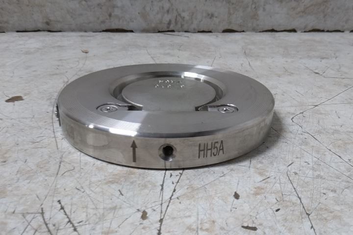 Champion 3SDS15-SSP-R 3 In Pipe Size Flange Connection Check Valve