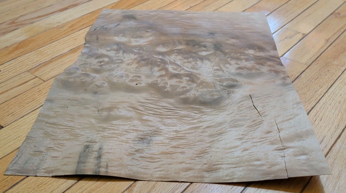 Myrtlewood burl veneer 1 piece 21″ x 15 1/4″ to 16″ & 1/42″ wood cracks 9″