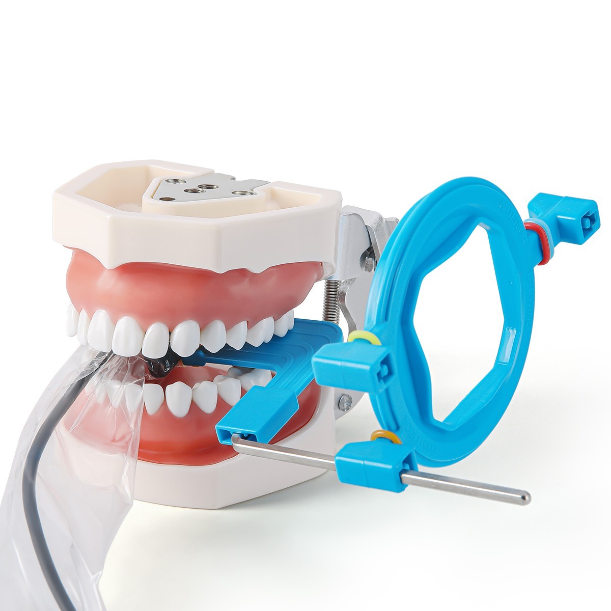 Dental X-Ray Positioner Digital Sensor Holder Sensor Positioning System 2.0