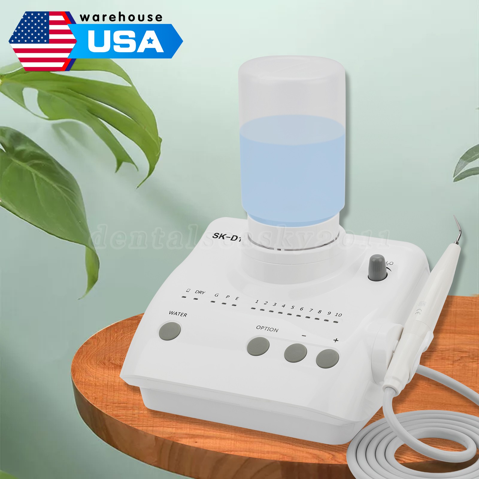 Dental Ultrasonic Piezo Scaler+Handpiece Bottles Fit DTE SATELEC Model:SK-D1