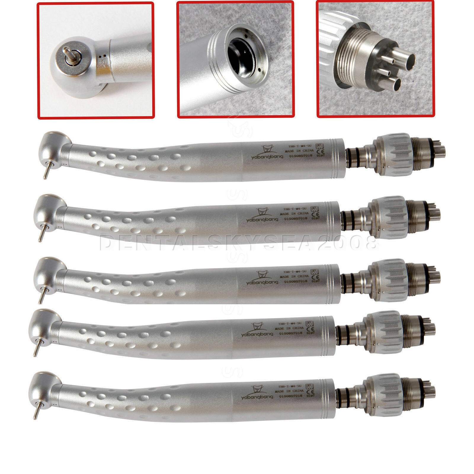 5 Dental Standard Head High Speed Handpiece with Quick Coupler 4Hole Coupling