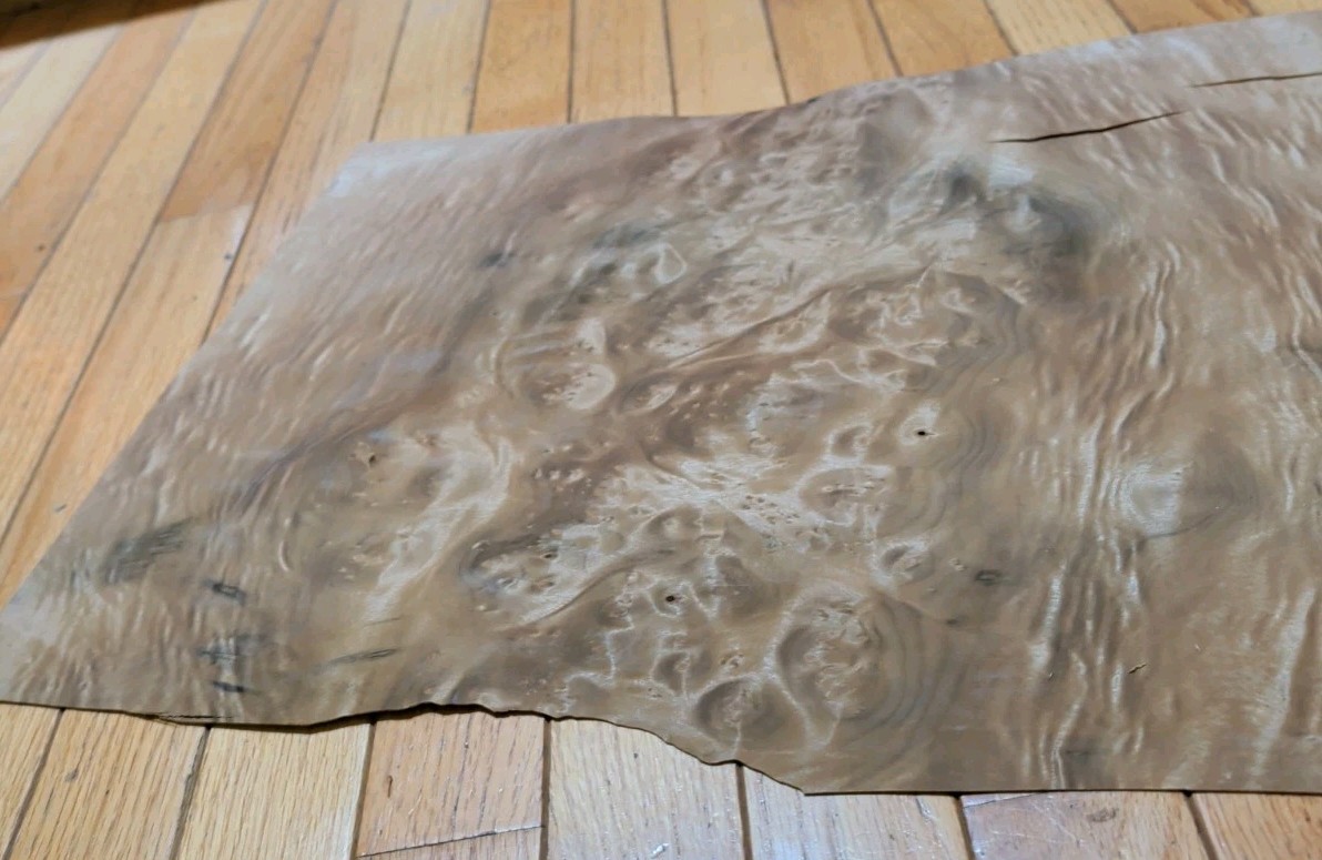 Myrtlewood burl veneer 1 piece 21″ x 15 1/4″ to 16″ & 1/42″ wood cracks 9″