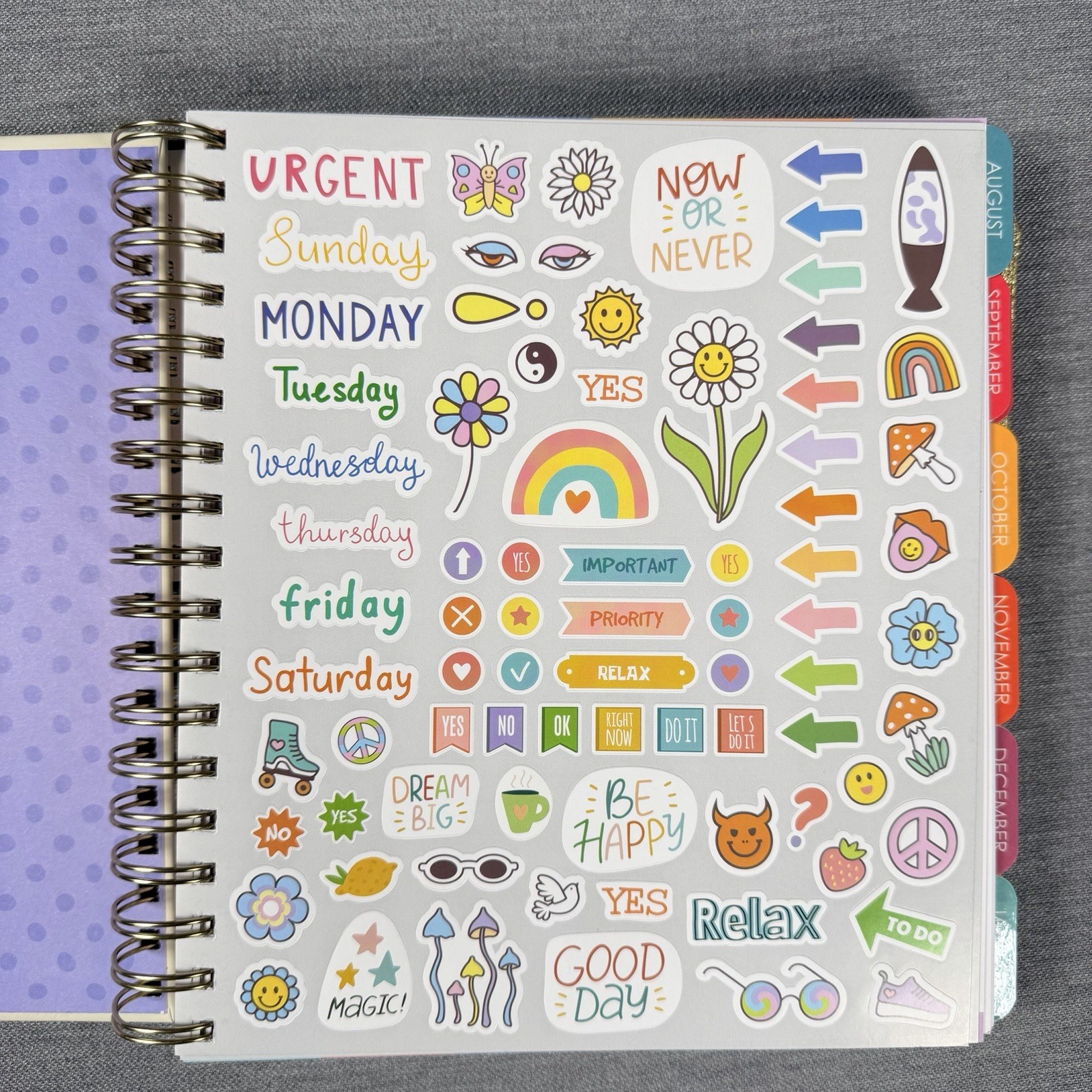 Creative Expert 17 Month Planner AUG 2026 – DEC 2027 Monthly/Weekly Planner