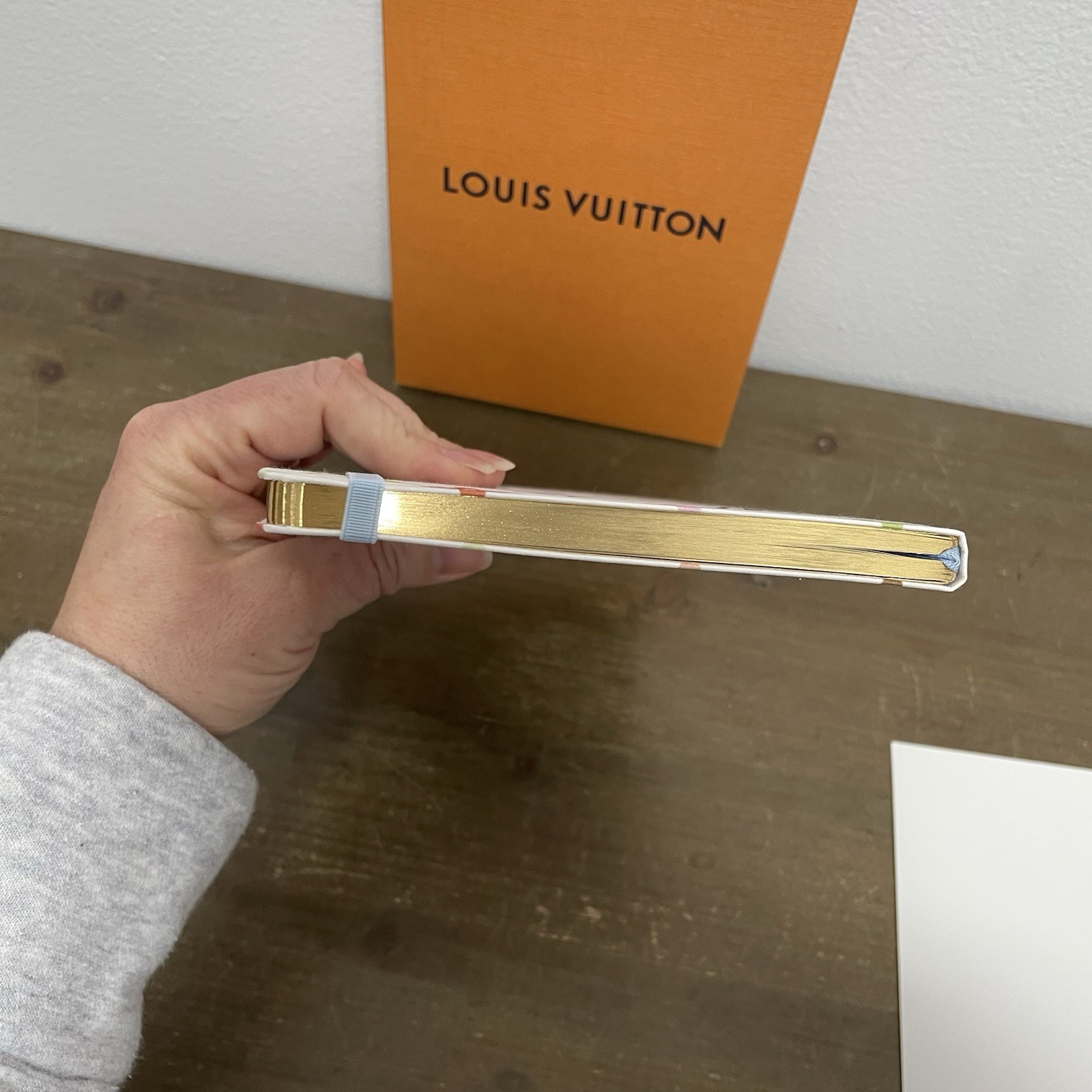 LV X TM Multicolor White Jane Notebook