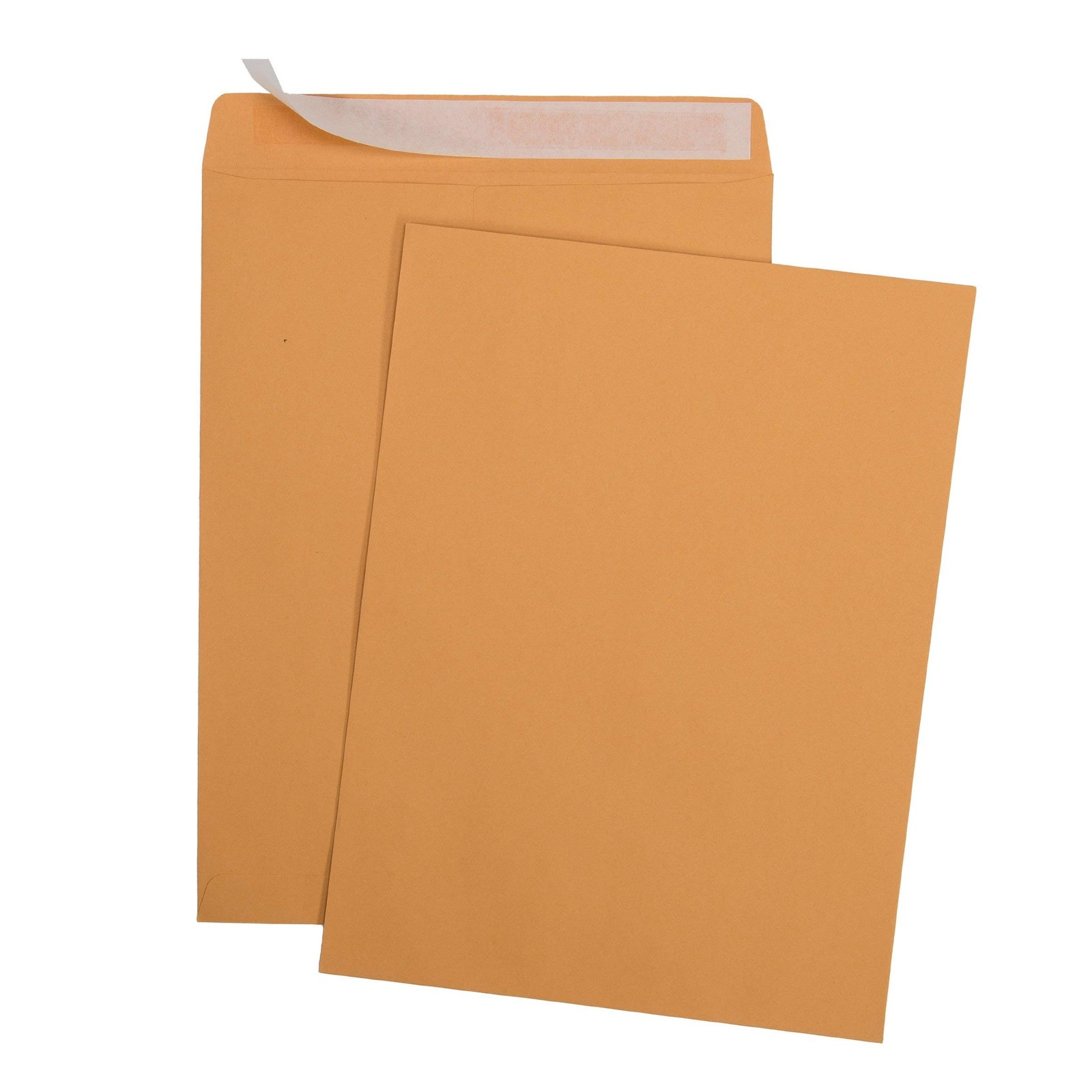 Aimoh 100 6 x 9 Self-Seal Brown Kraft Catalog Envelopes – 28lb, 100 Count, Ul…