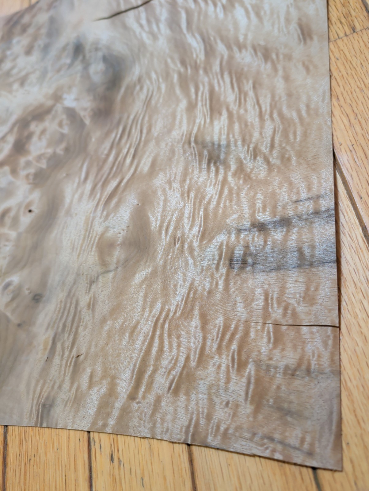 Myrtlewood burl veneer 1 piece 21″ x 15 1/4″ to 16″ & 1/42″ wood cracks 9″