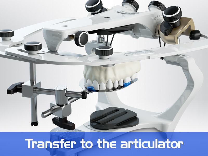 BIOART Semi-Adjustable Articulator A7 Plus with Standard Facebow, Plastic Case