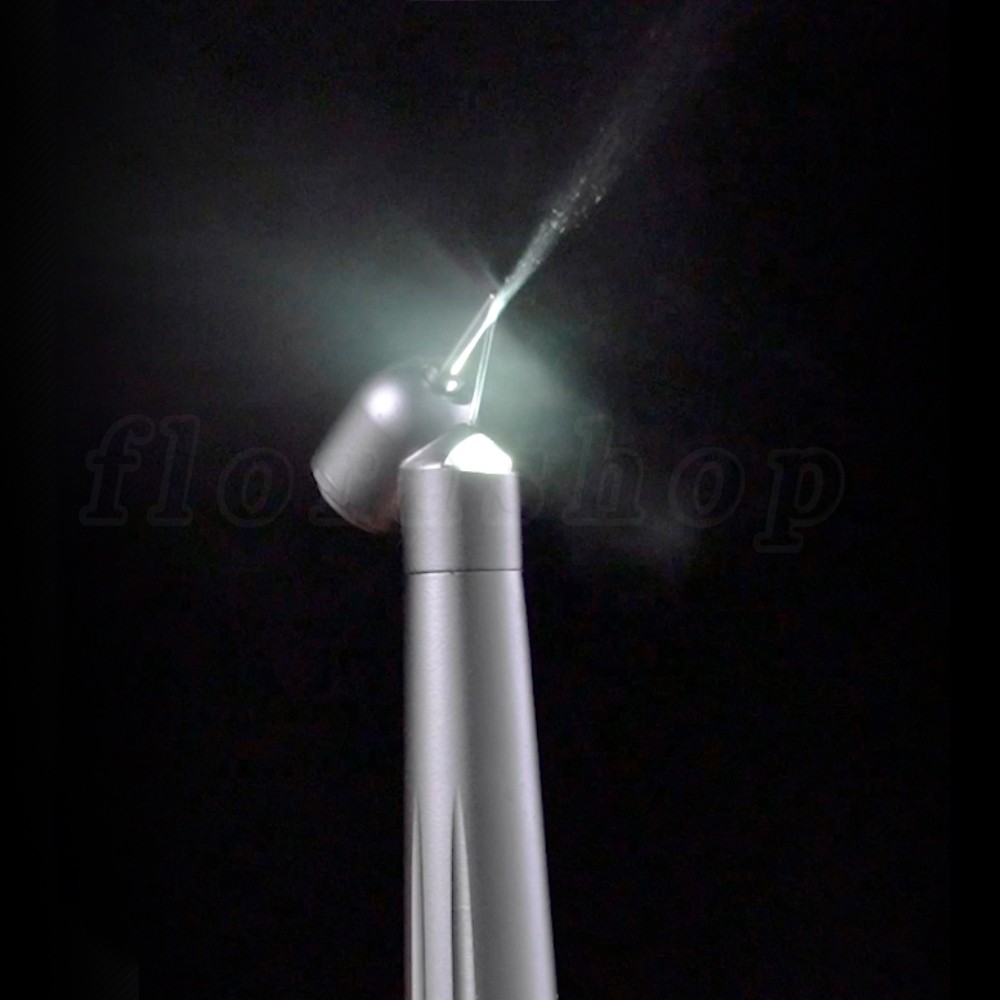 Dental Ultrasonic Scaler Piezo Scaling Handpiece Cleaning fit EMS Woodpecker USA