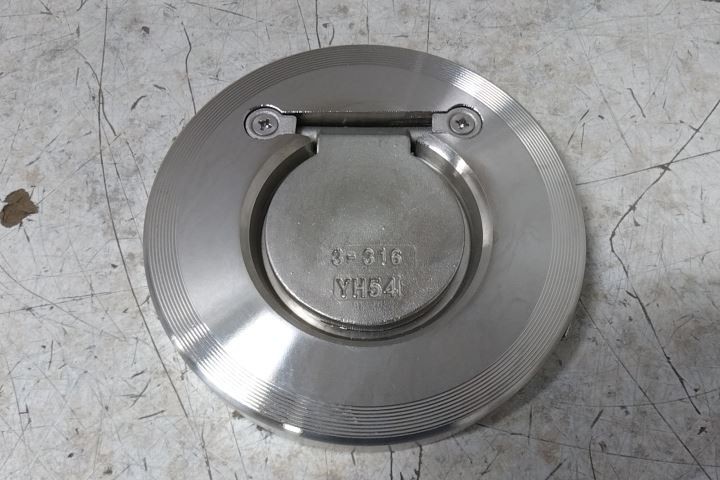 Champion 3SDS15-SSP-R 3 In Pipe Size Flange Connection Check Valve