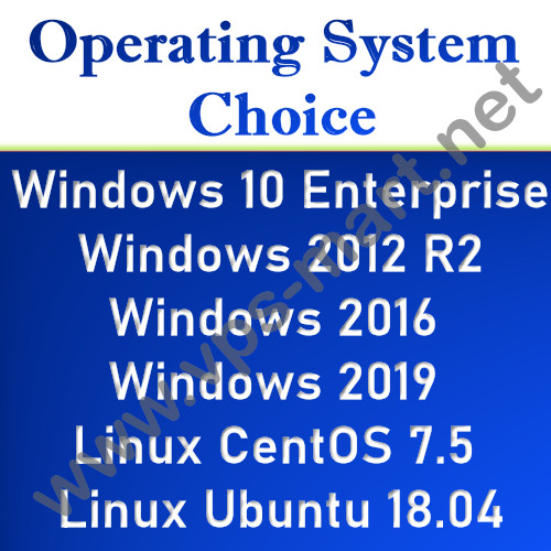 USA Windows VPS RDP Server/ Windows VPS Hosting – 4GB RAM + 150GB HDD