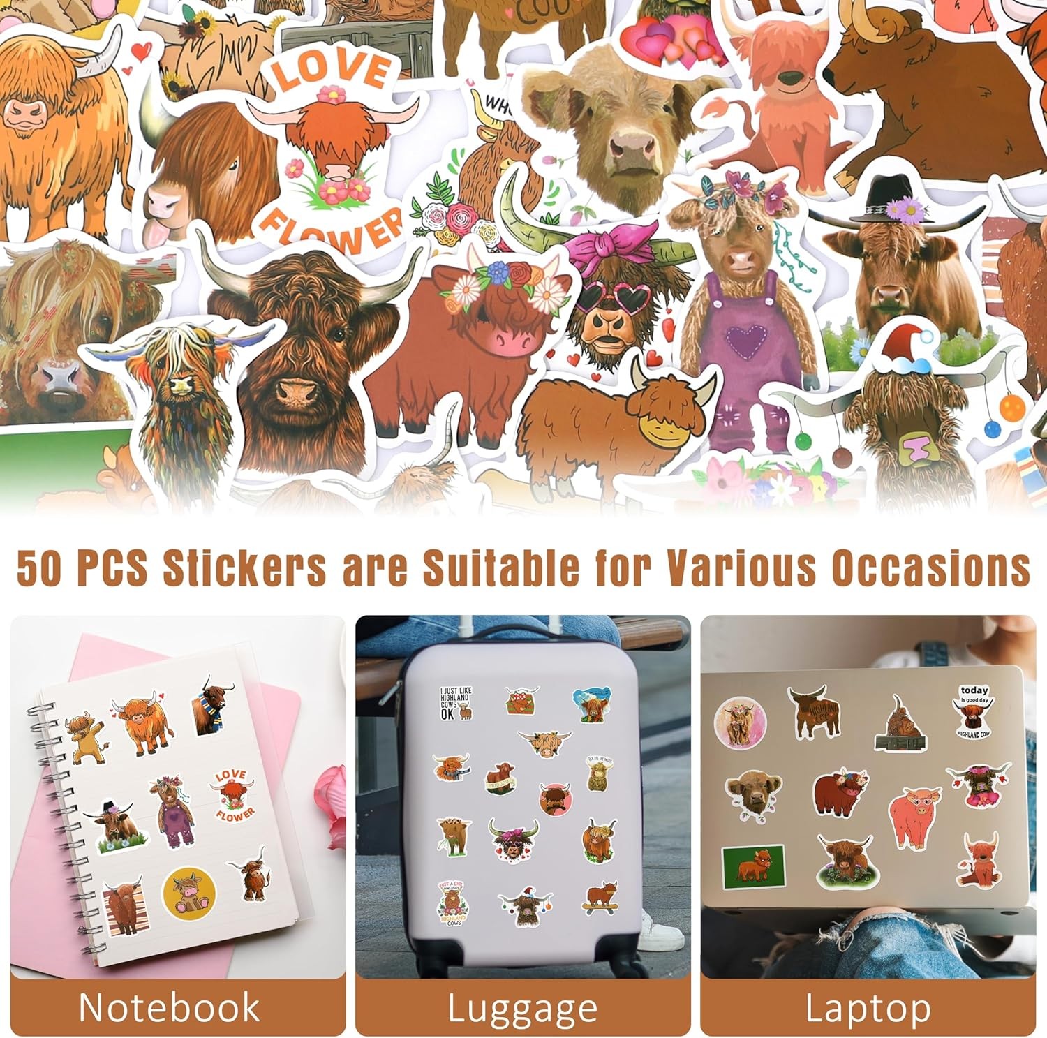 Highland Cow Gifts for Women, Decor, Cute highland cow gifts