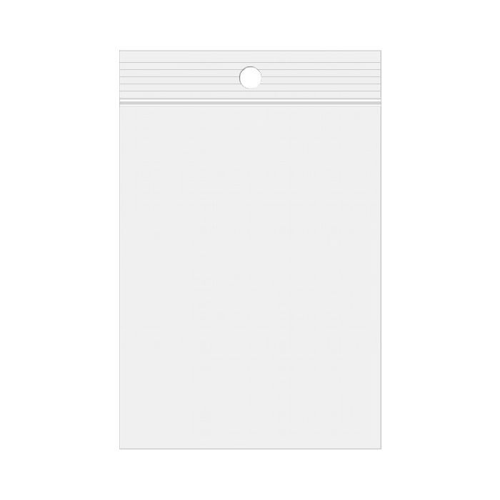 500 – 2″ x 3″ Zip Seal Reclosable 2Mil Plastic Top Lock Bags Hang Hole Jewelry