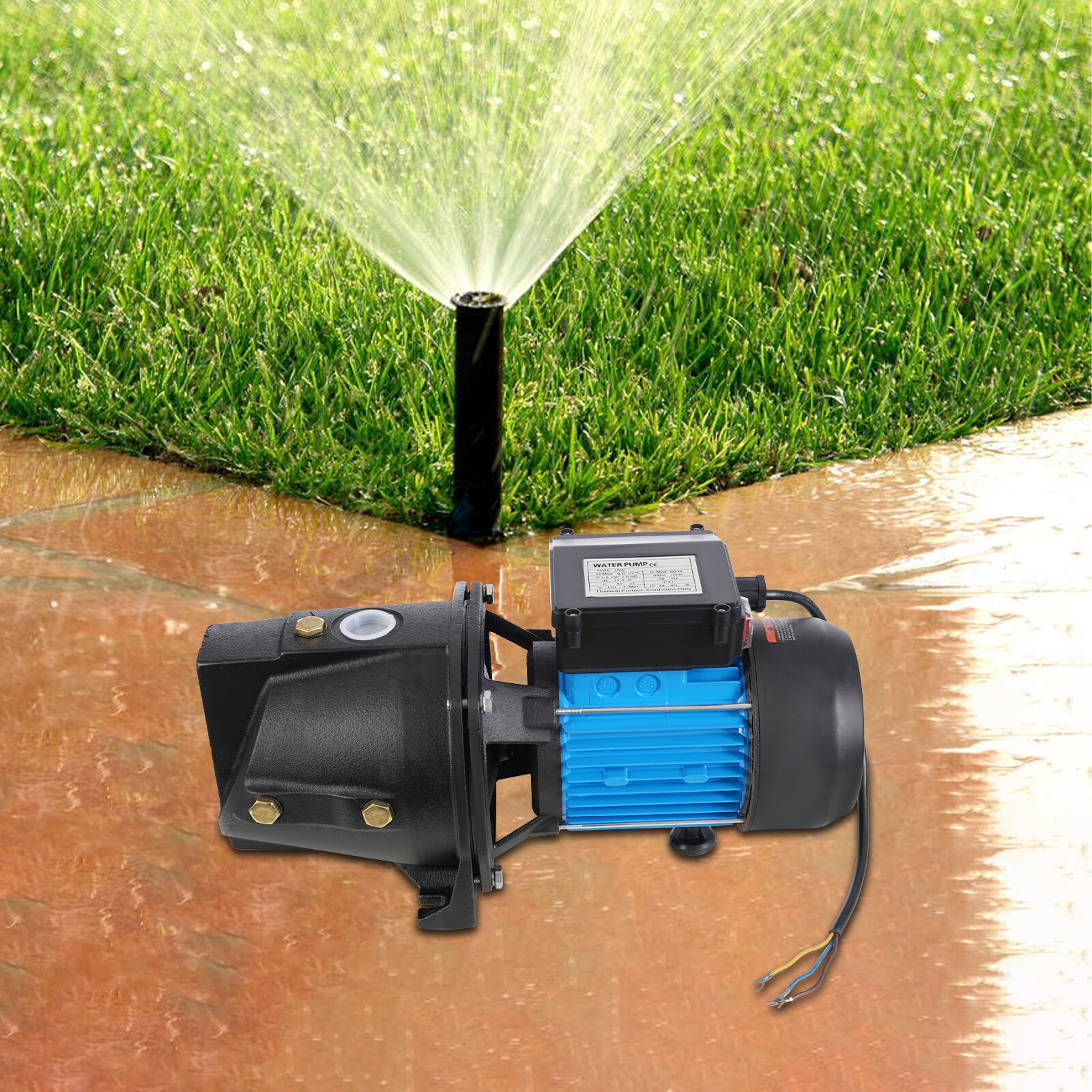 1.6HP Shallow Well Jet Pump, Cast Iron Irrigation Pump for Home Farm Garden Lawn