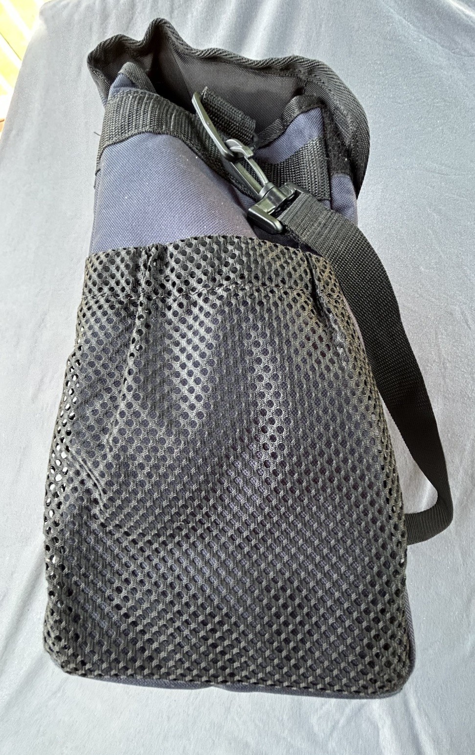 Domino’s Pizza Insulated Delivery Bag Blue Carry Tote Food Carrier Grub Hub Dash