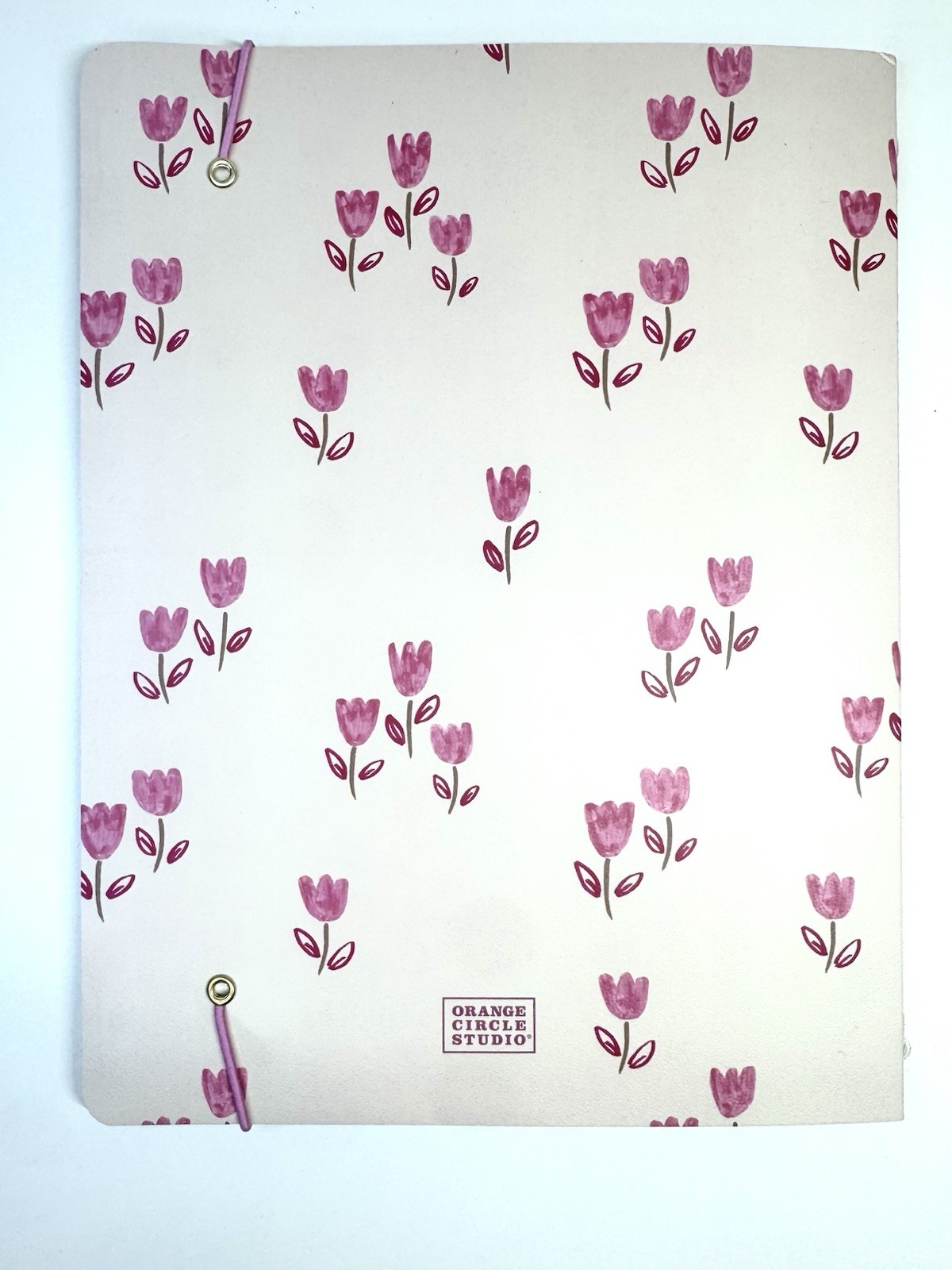 2027 Orange Circle Studio Monthly Planner 17 Months Pink FLORAL Tulips MEDIUM