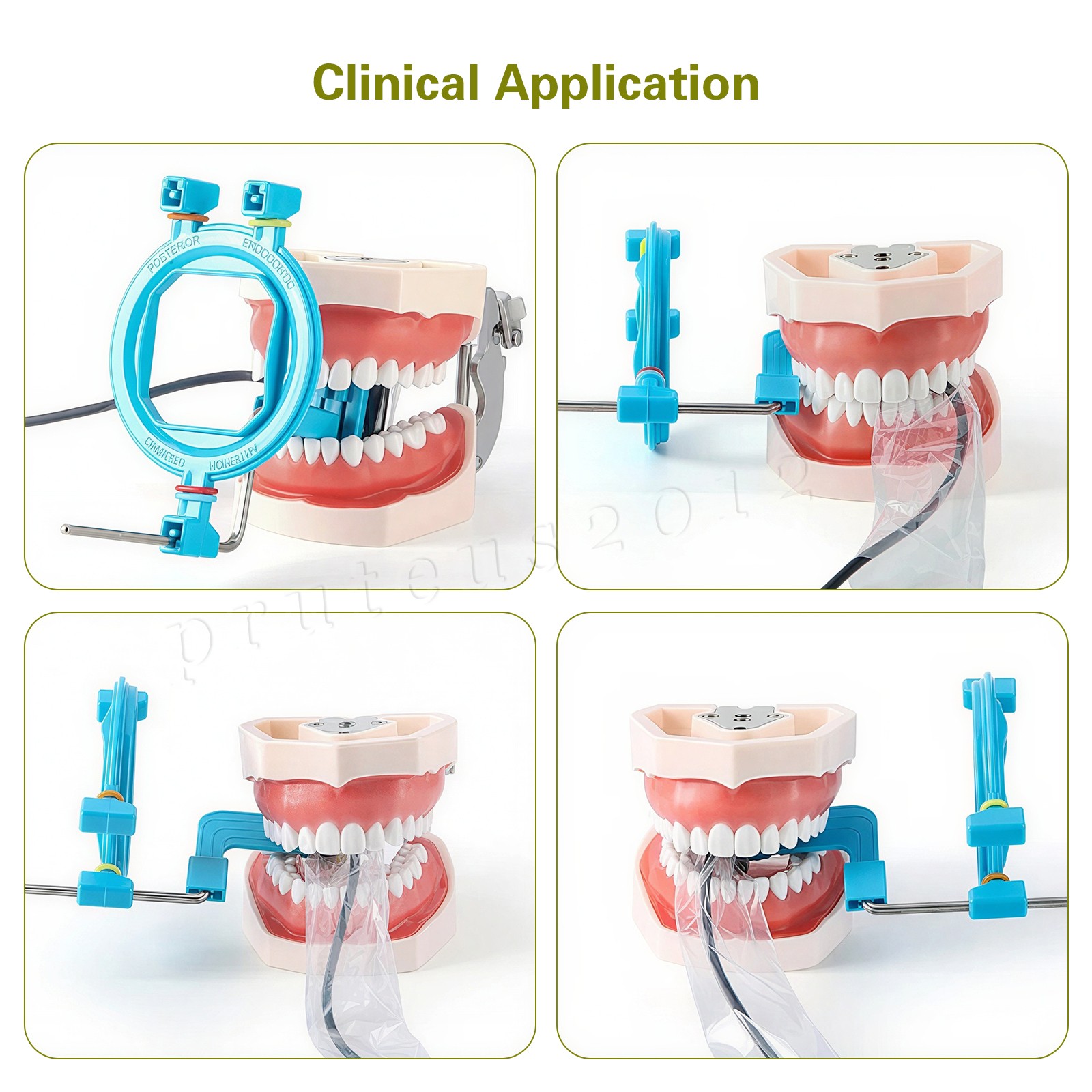 Dental X-Ray Positioner Digital Xray Sensor Holder Oral Film Positioning