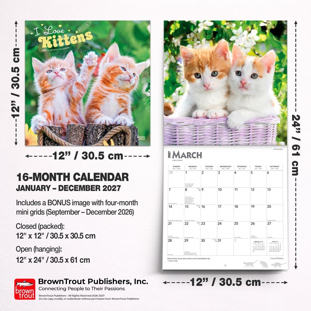 I Love Kittens | 2027 12×24″ (Hanging) Square Wall Calendar | Plastic-Free